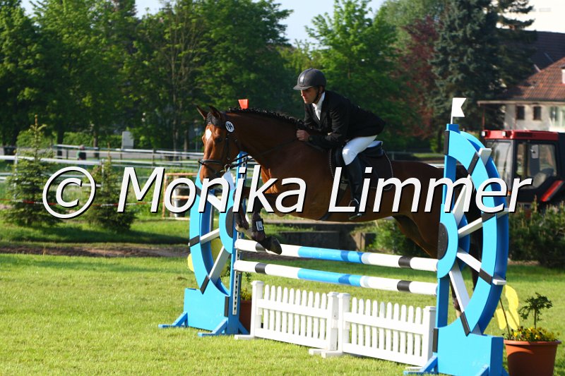 005M3806_Leikas Lausejunge_Springpferde A.JPG